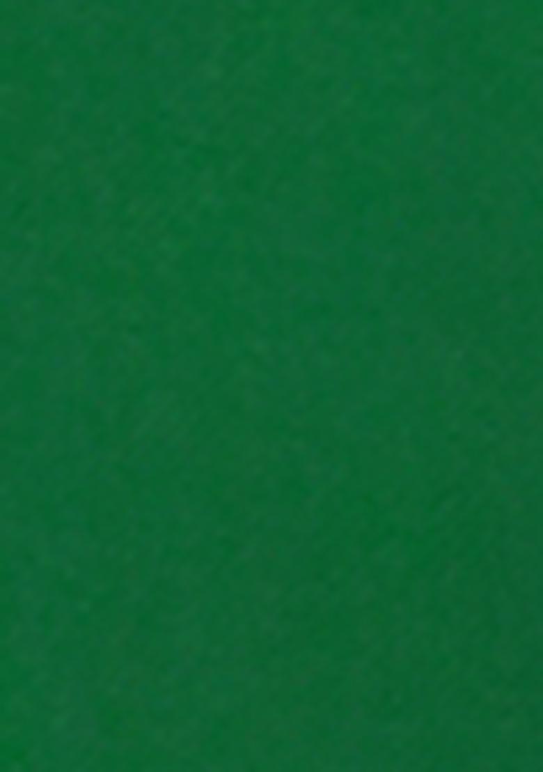 Green Embroidered Silk Sherwani for Men